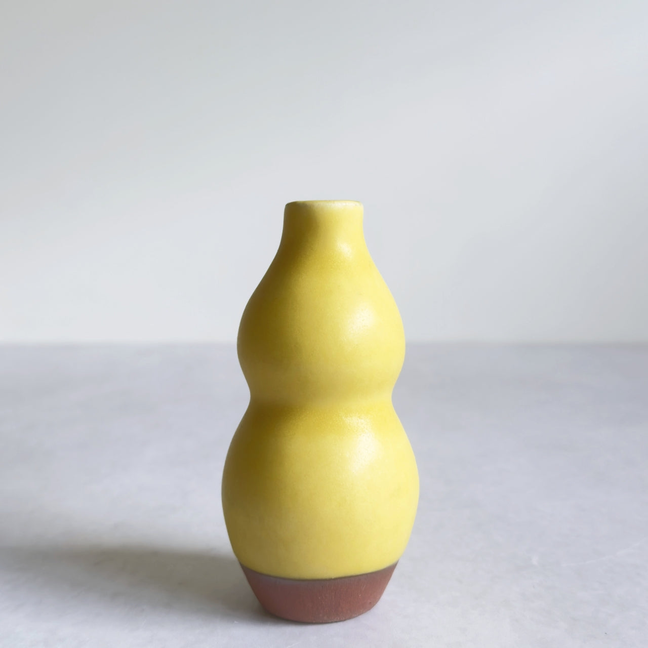 Small Vase & Dried Posy Gift Set - Yuzu no.6