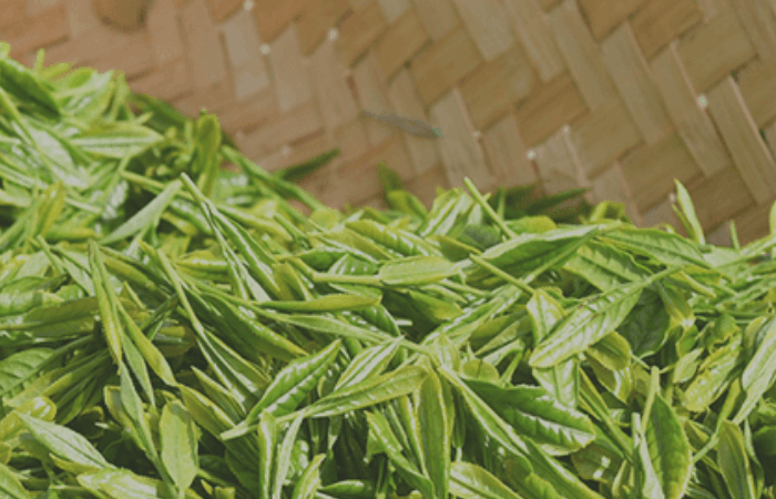 Toka Original Tea