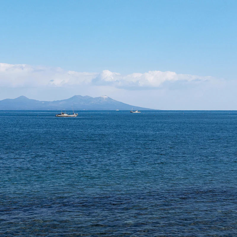 Glass Wind Chime - Mutsu Bay