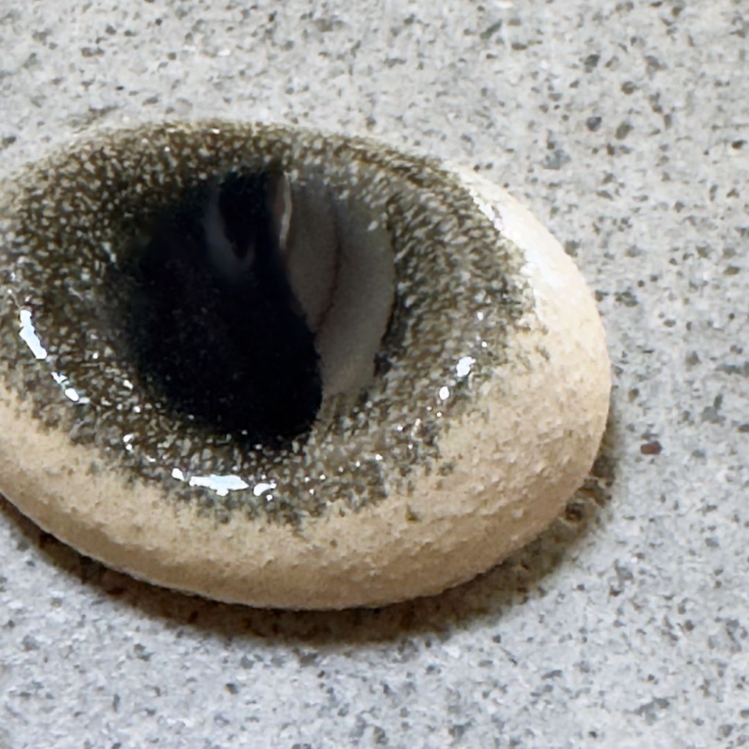 A close-up of an oval Japanese chopstick rest with a glossy dark centre and speckled beige outer surface, placed on a grey speckled countertop.